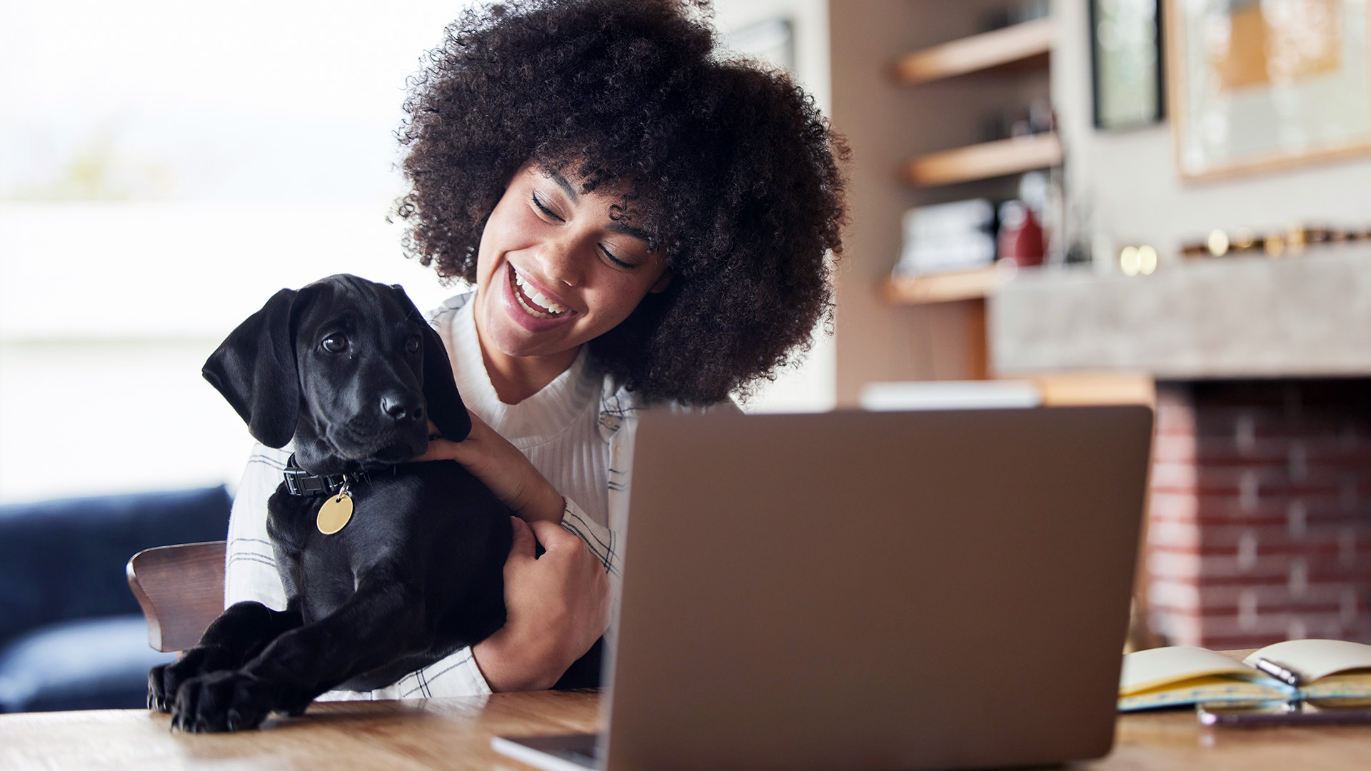 Free Online Tool to Help Answer Your Pet Insurance Questions