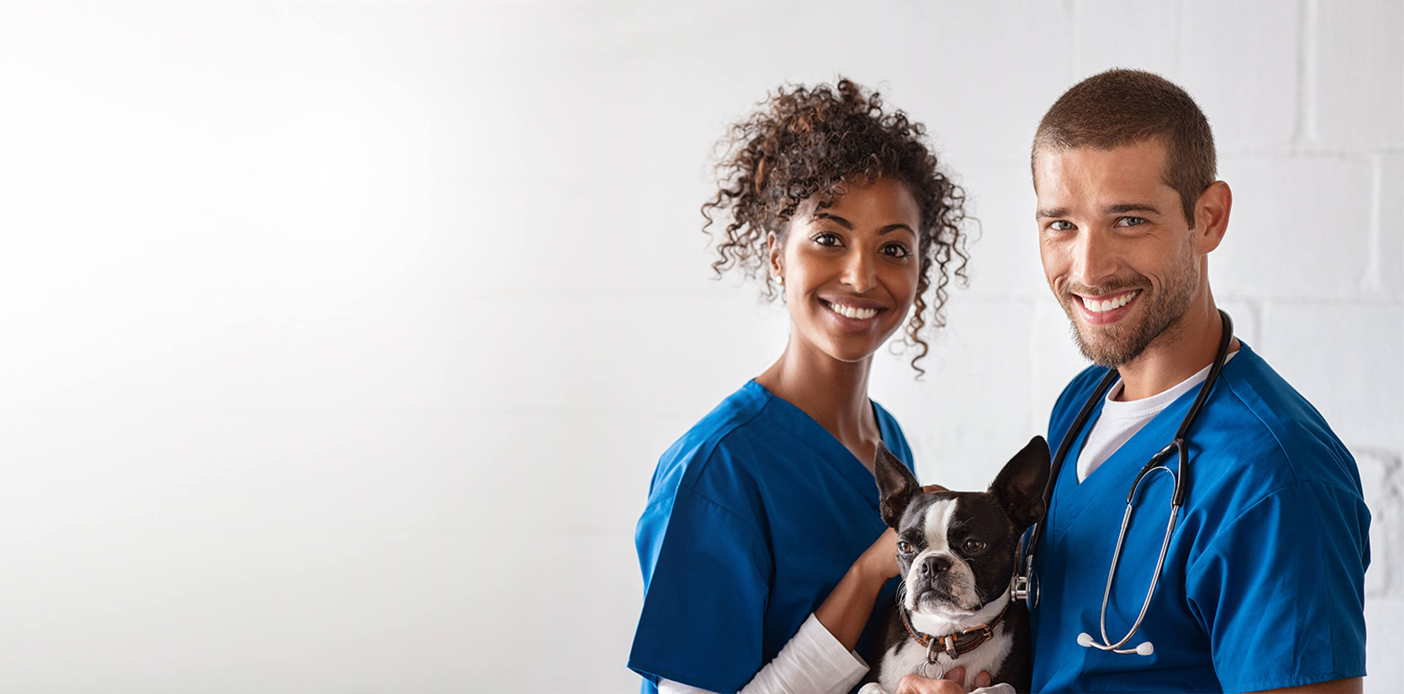 How to Increase Your Veterinary Business with Successful Branding