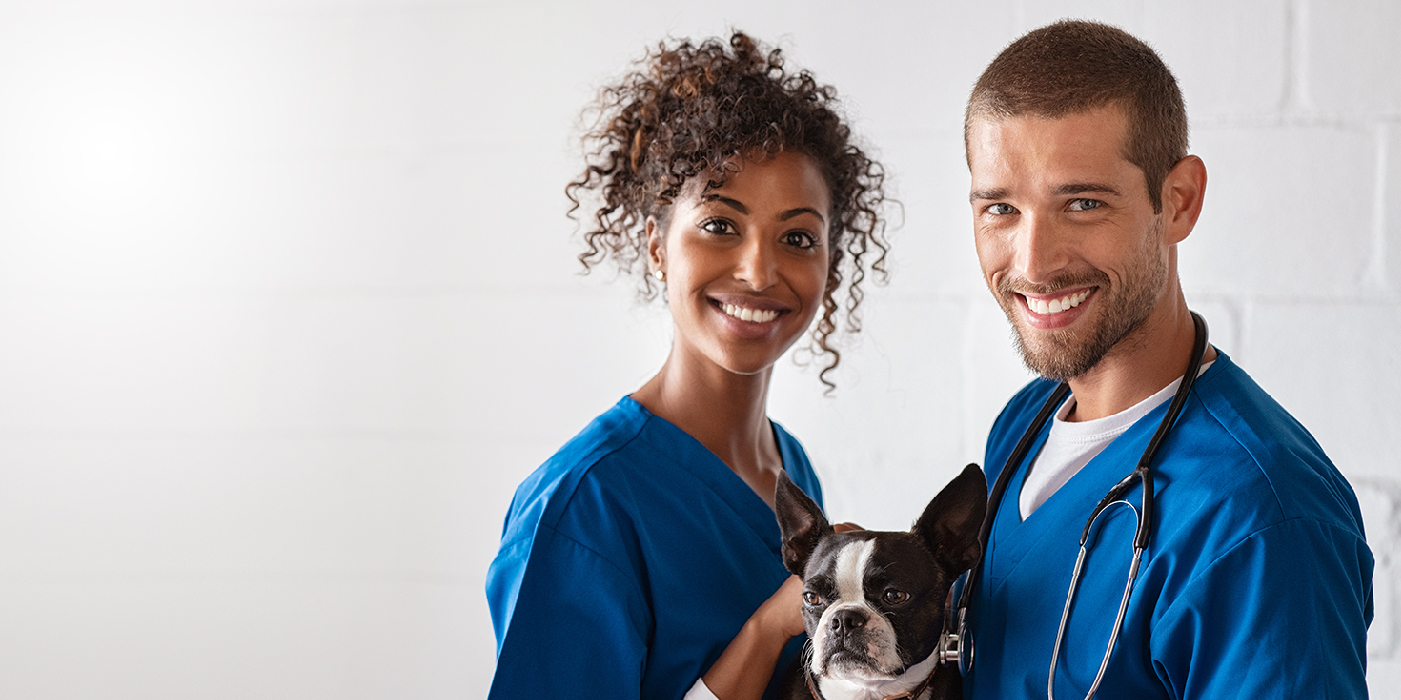 Why Vet Techs Are Quitting and How to Reduce Turnover