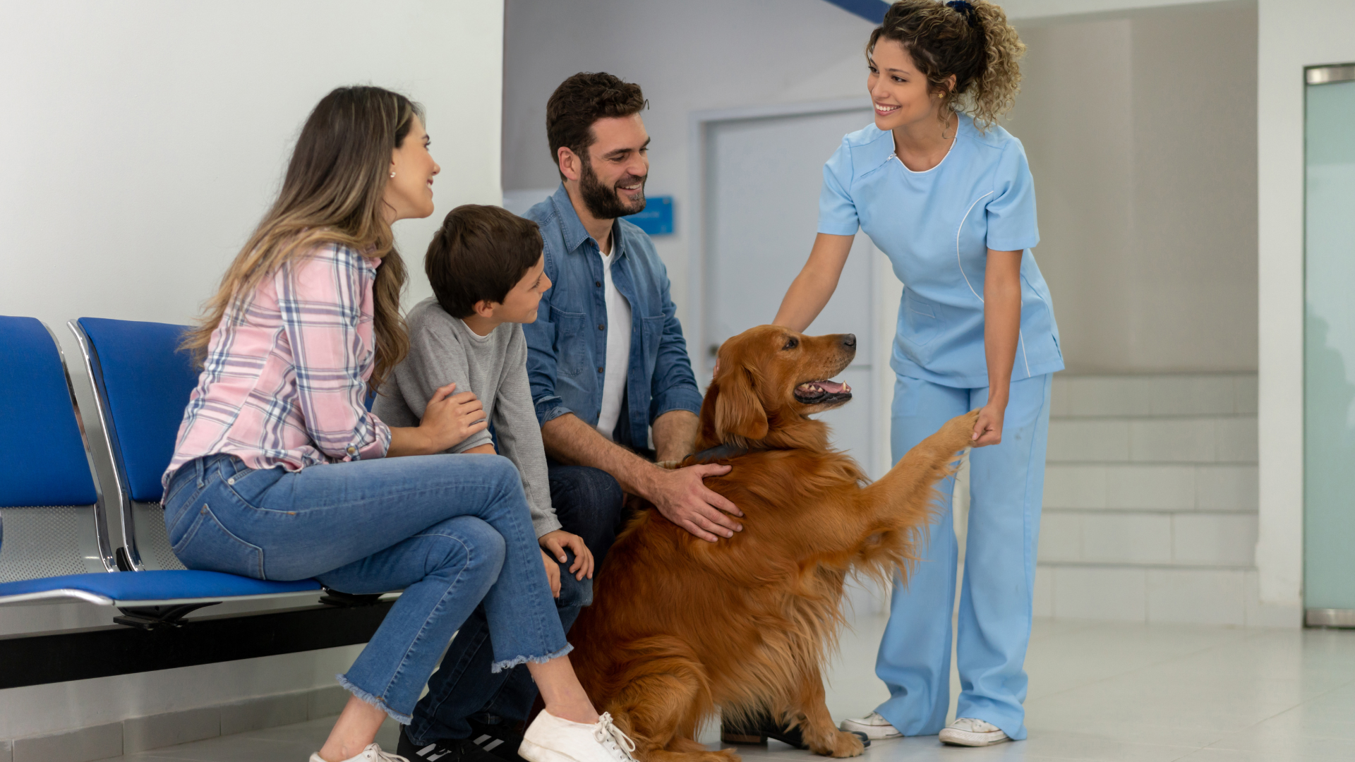 LifeLearn Announces New Affinity Partnership with the Association of Shelter Veterinarians