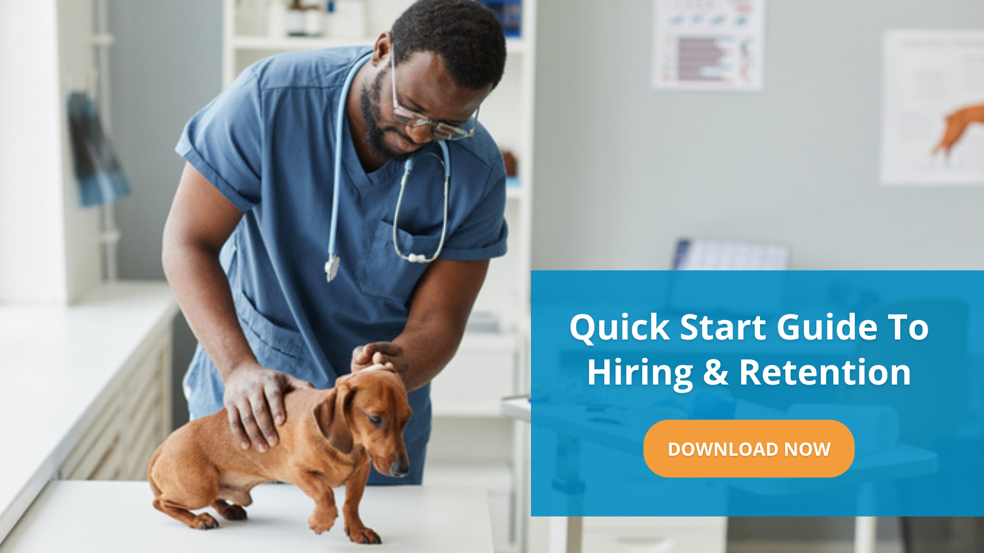 Veterinary Virtual Summer Camp LifeLearn