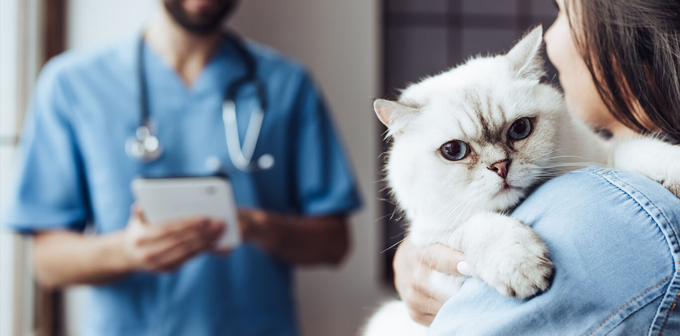 Veterinarian with a tablet speaking to a pet owner holding a cat