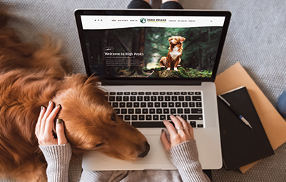Pet owner on her laptop sitting with her golden retriever while visiting a veterinarian website designed powered by LifeLearn.