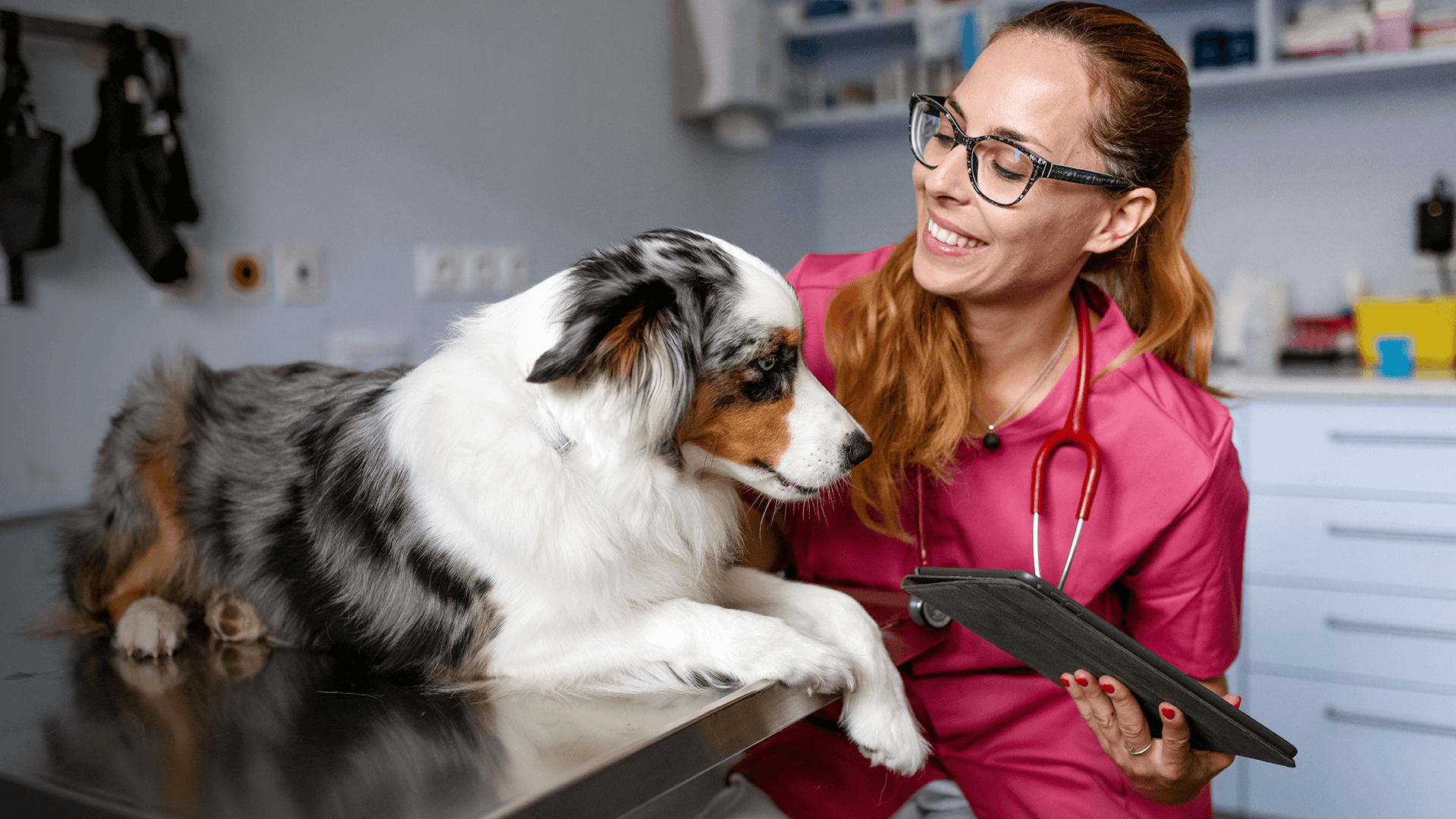 How to Be More Efficient with Fewer Veterinary Staff