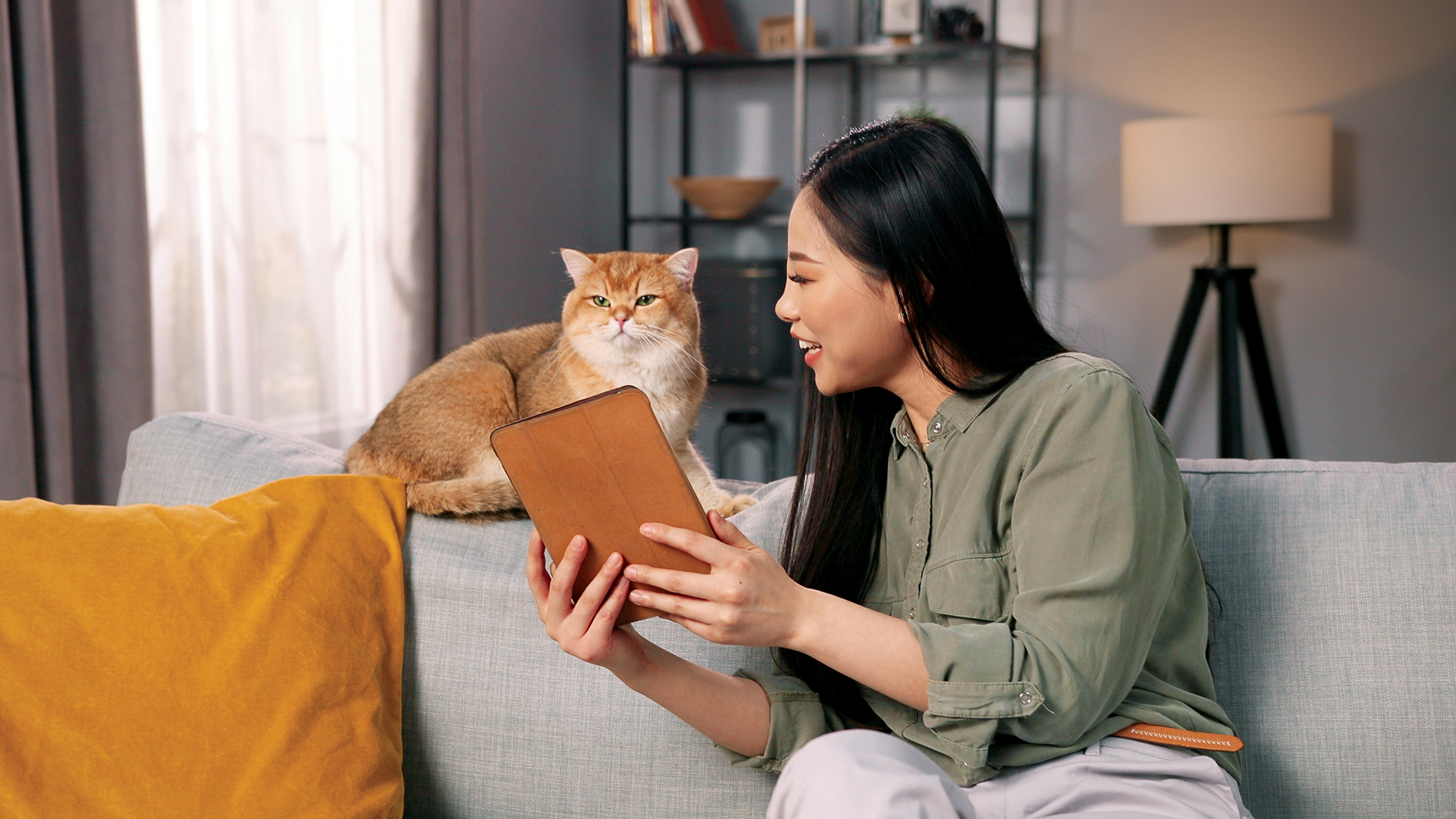 Women with cat looking at tablet