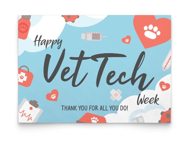 thank you note for vet tech