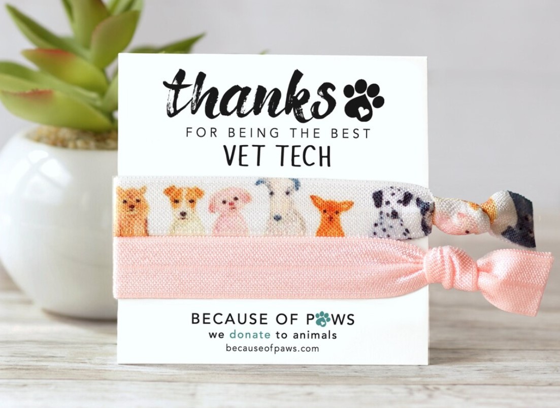 vet tech gift