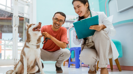 Addressing Pet Vaccine Hesitancy: How Veterinarians Can Educate Pet Owners