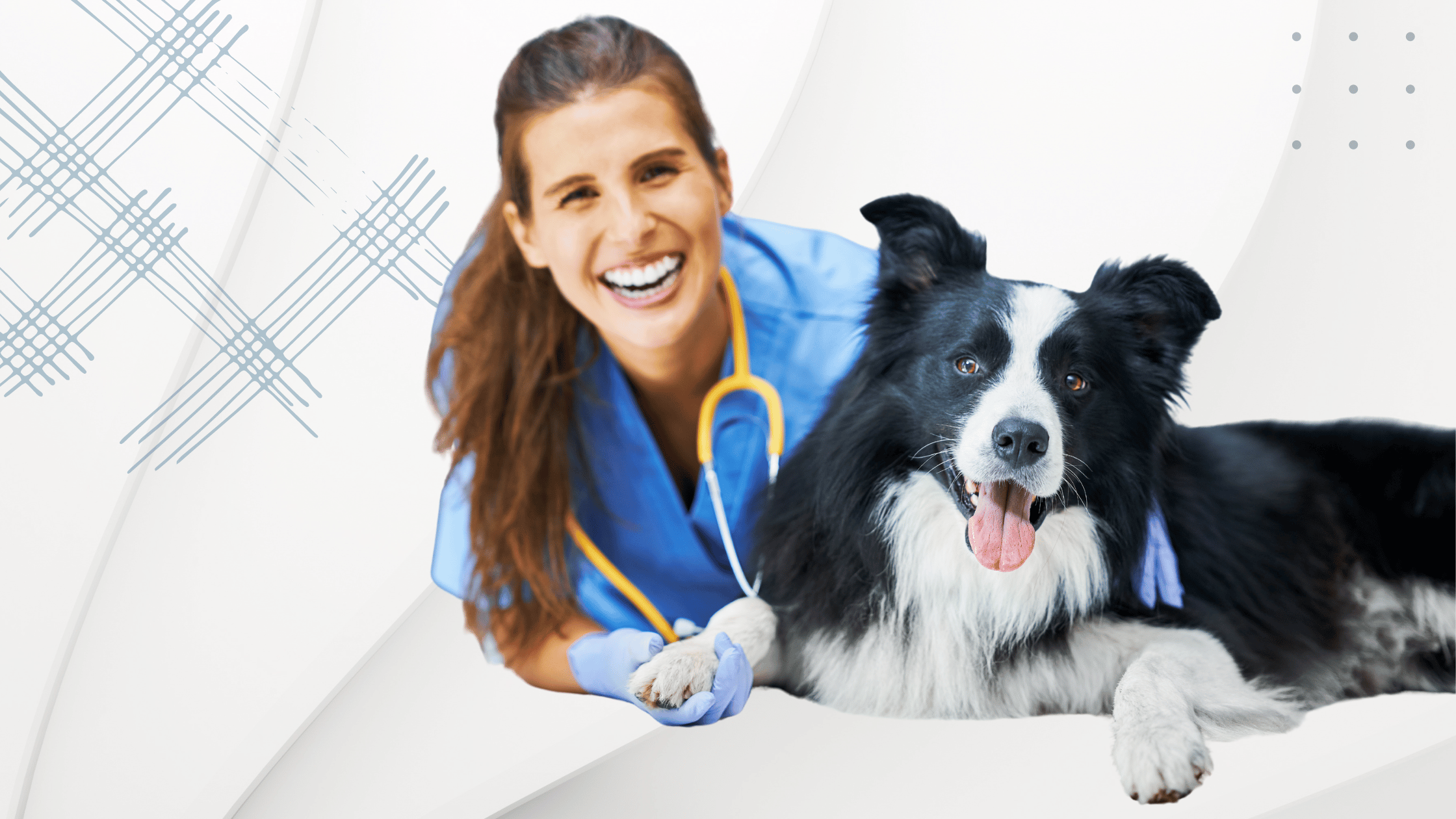 7 Essential Features Every Veterinary Website Should Have