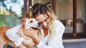 Pet insurance Education