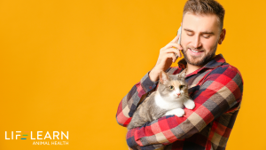 veterinary decision support tools