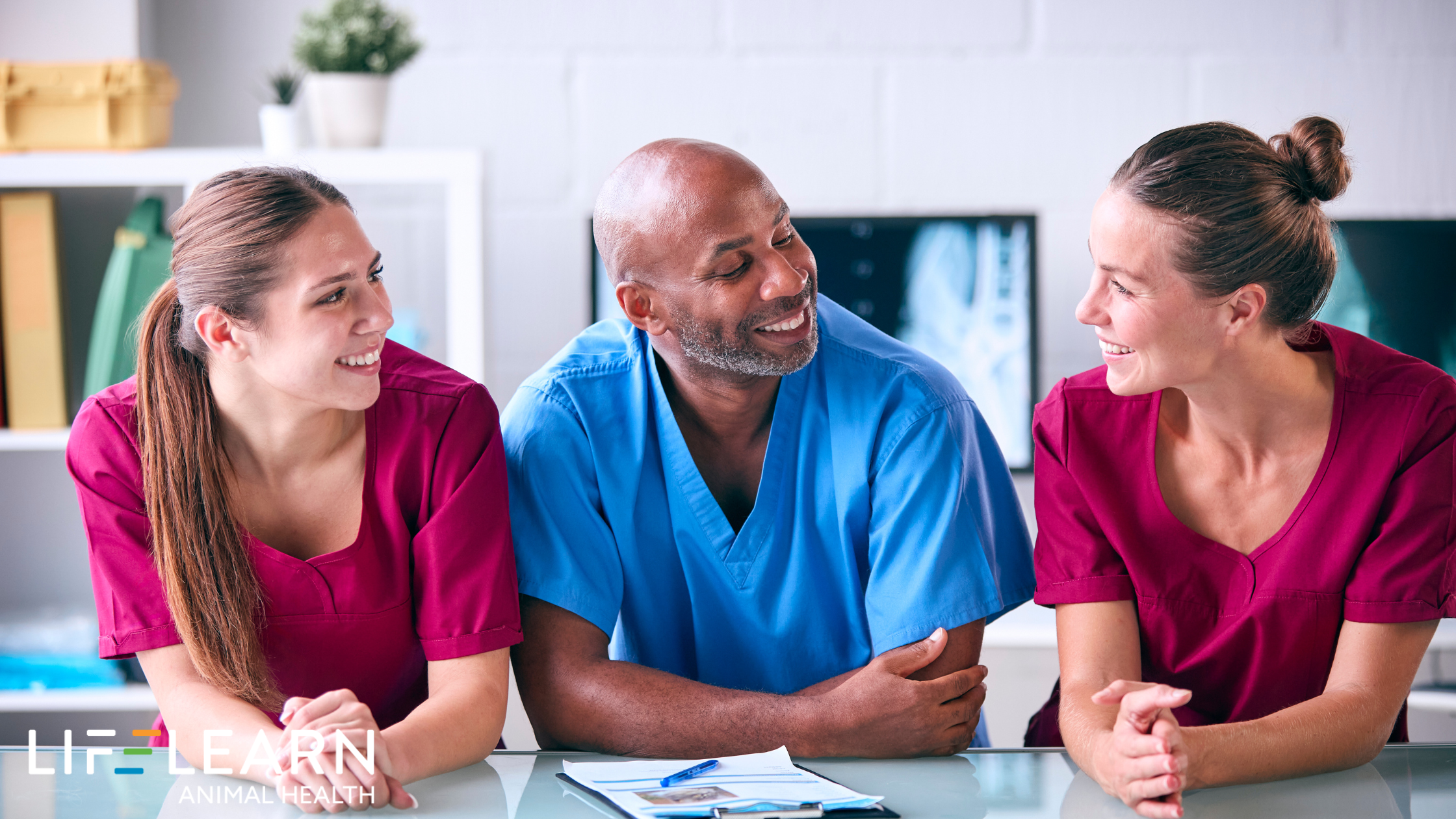 The Crossroads of Compassion: Reclaiming Well-being and Elevating Care in Veterinary Medicine