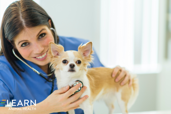 veterinary marketing metrics