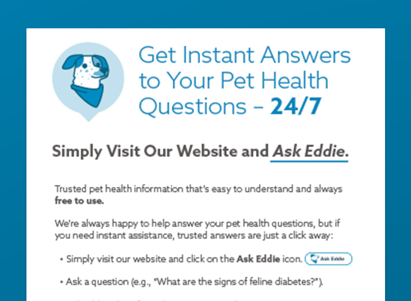 Preview of the Ask Eddie questions poster.