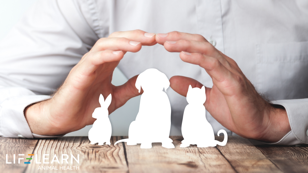 Pet Insurance Communication Strategies