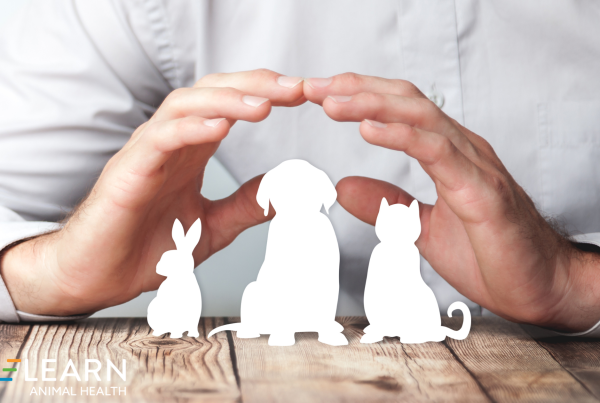 Pet Insurance Communication Strategies