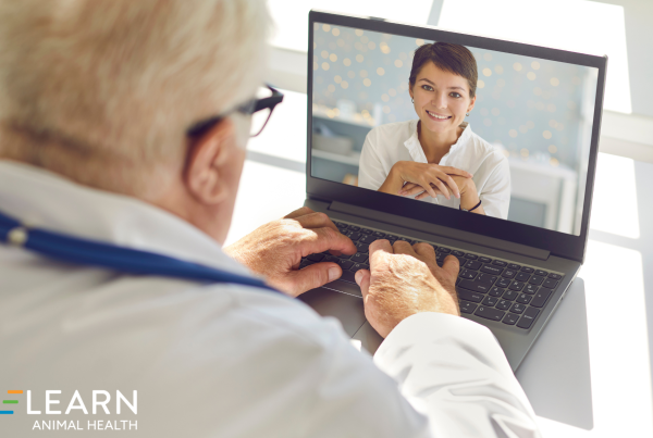 Telehealth and the Risk Management Veterinarians Practices Need to Know