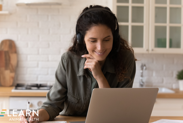 Why CE Credits Are More Valuable