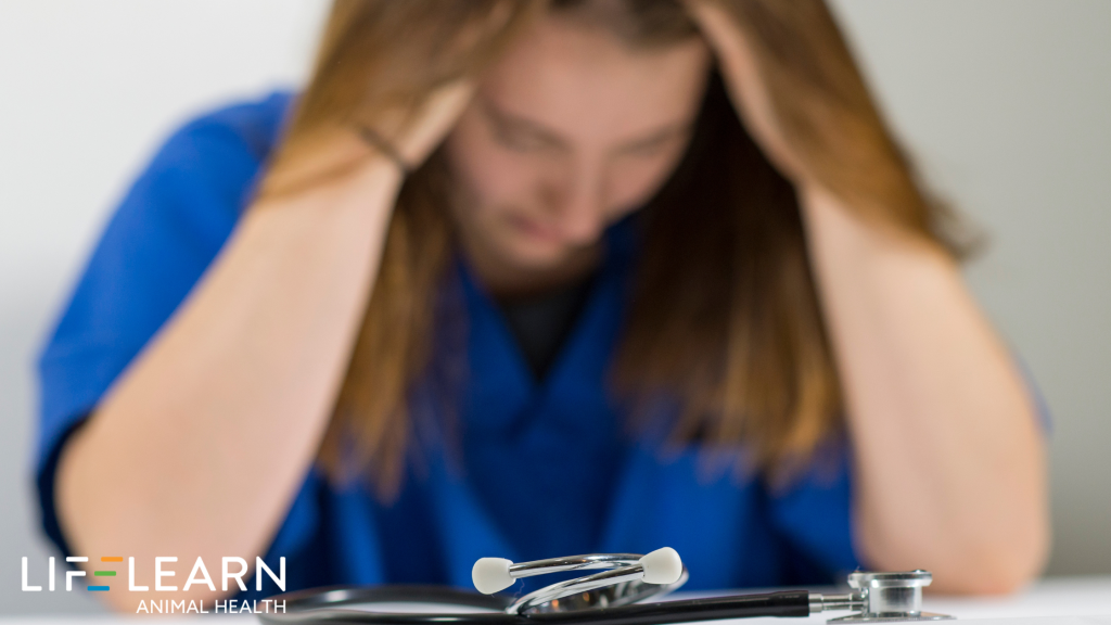 veterinary burnout