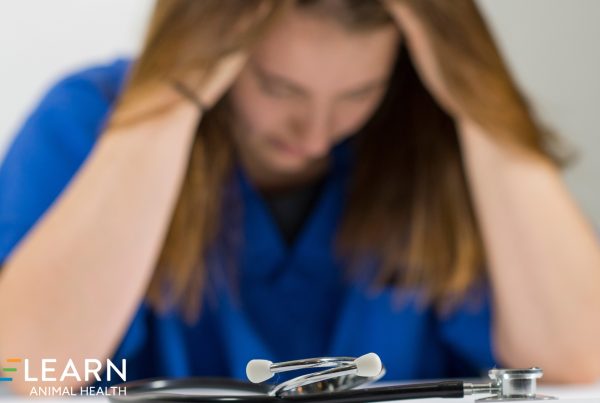 veterinary burnout