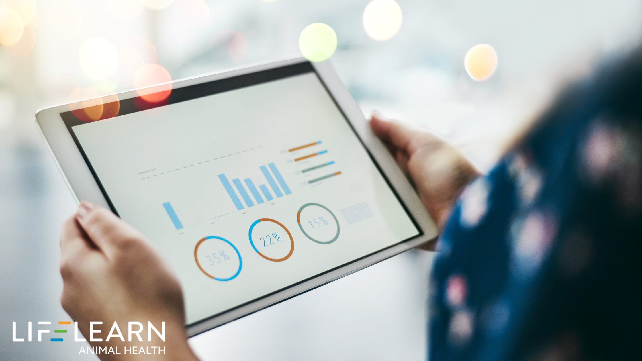 Website Metrics That Matter: Understanding Digital ROI for Veterinary Practices