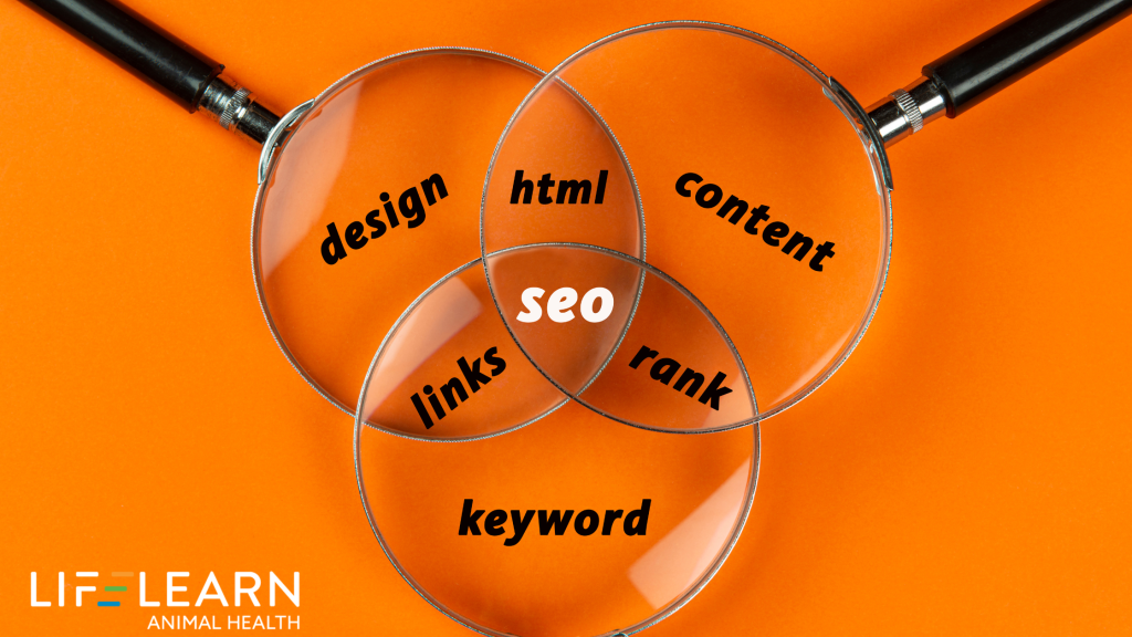 0n-page seo for veterinarians