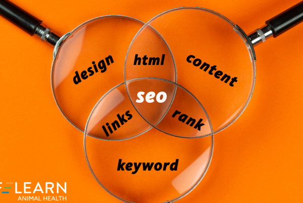 0n-page seo for veterinarians
