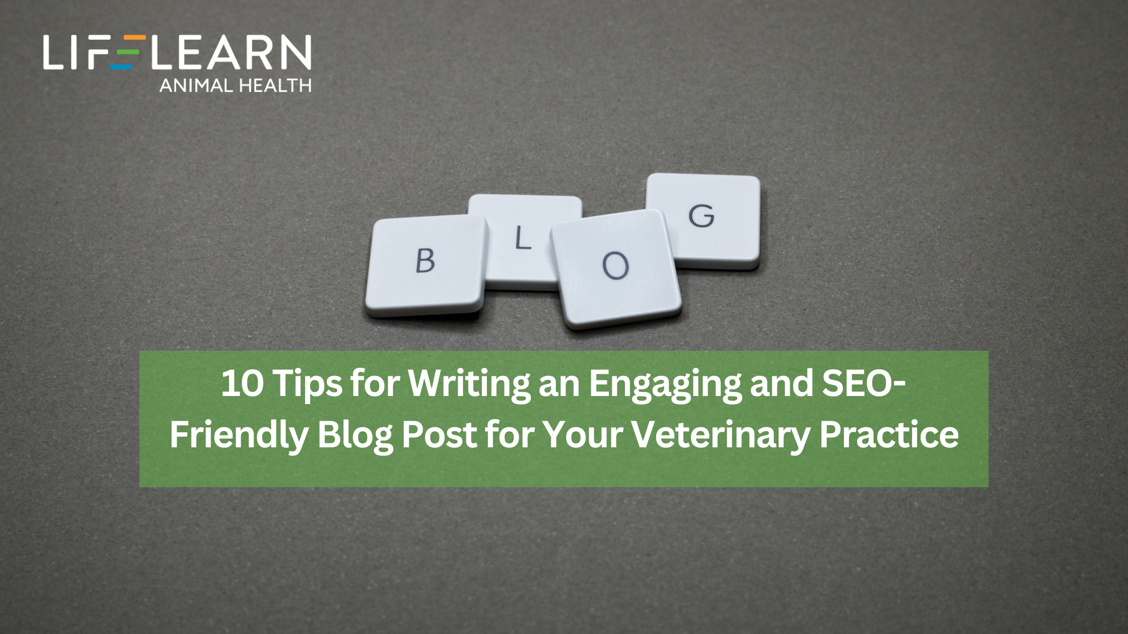 10 Tips for Writing an Engaging and SEO-Friendly Blog Post for Your Veterinary Practice