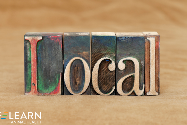 local search behavior
