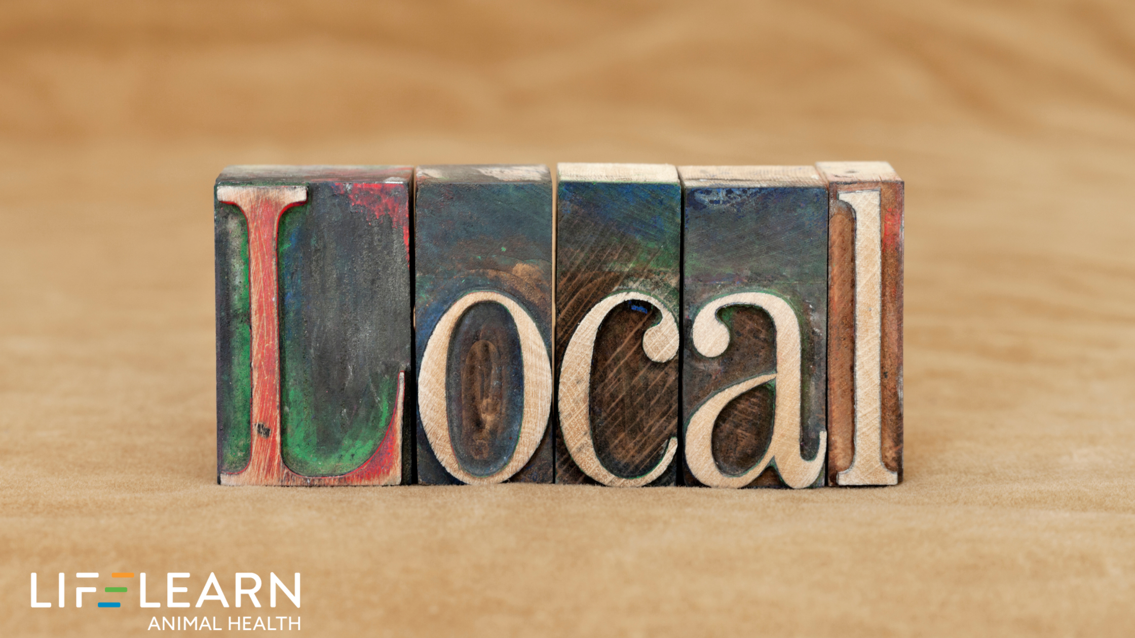 How Local Search Behavior is Changing Pet Owner Decision Making