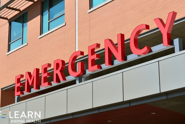 ppc campaign for emergency care