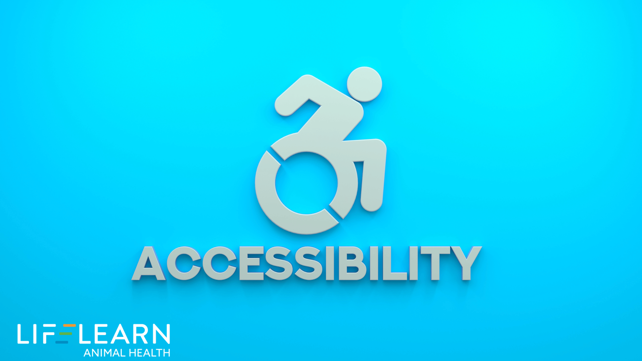 Web Accessibility for Veterinary Websites: What It Is, Why It Matters, & How to Get It Right
