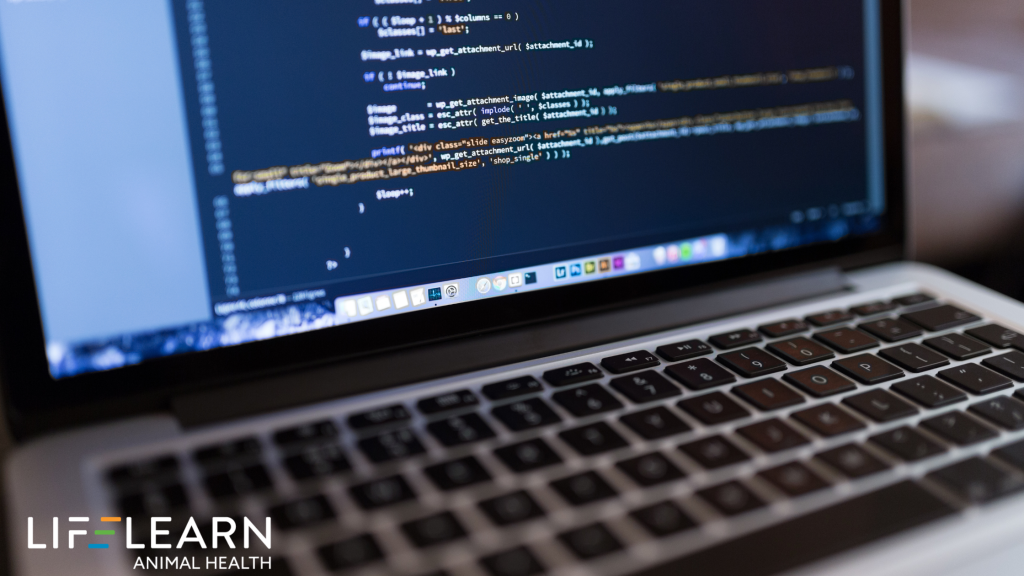 website schema