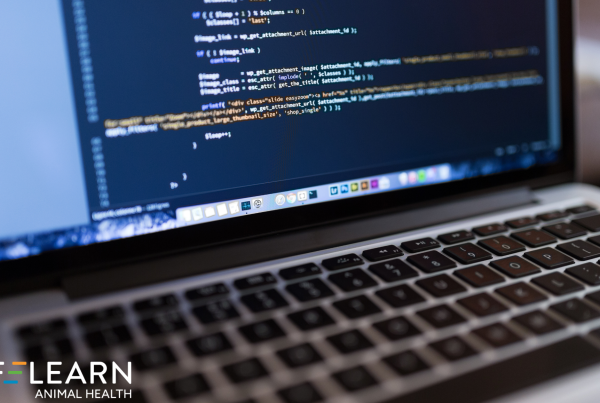 website schema