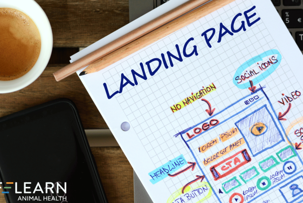 Building Educational Landing Pages for Pet Insurance