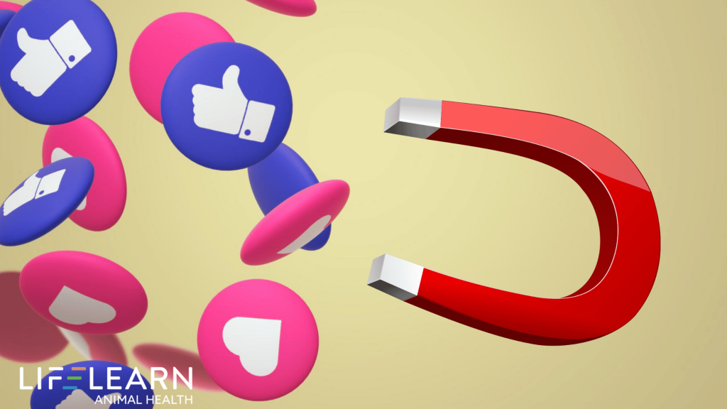 Facebook Carousel Ads