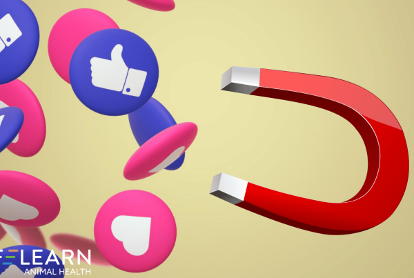 Facebook Carousel Ads