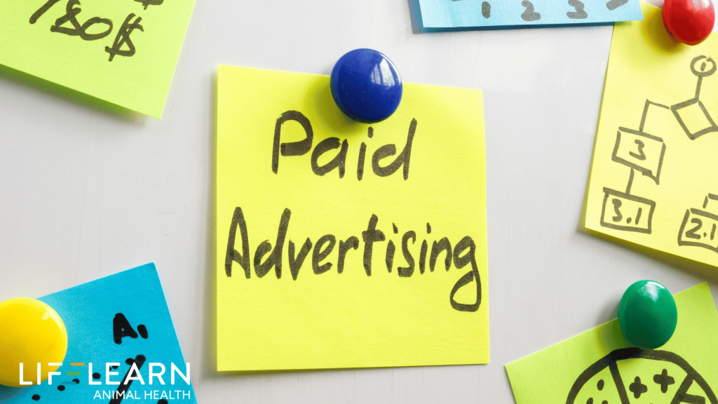 Google Ad Assets