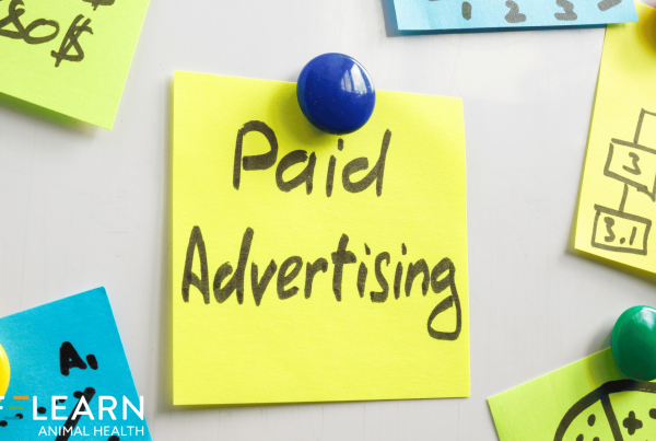 Google Ad Assets