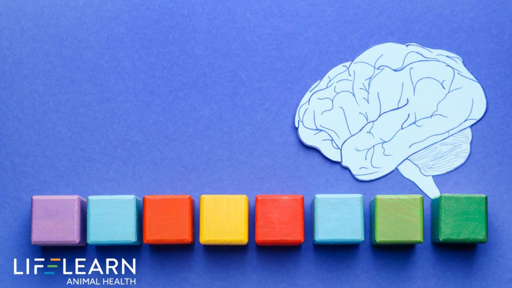 color psychology