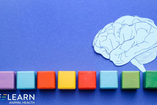color psychology