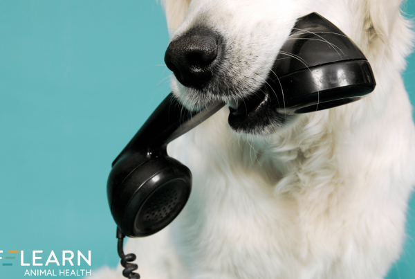 veterinary on-hold messaging