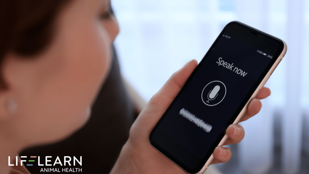 voice search seo