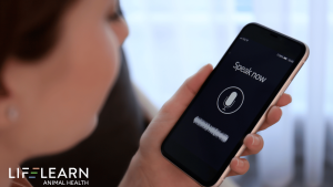 voice search seo