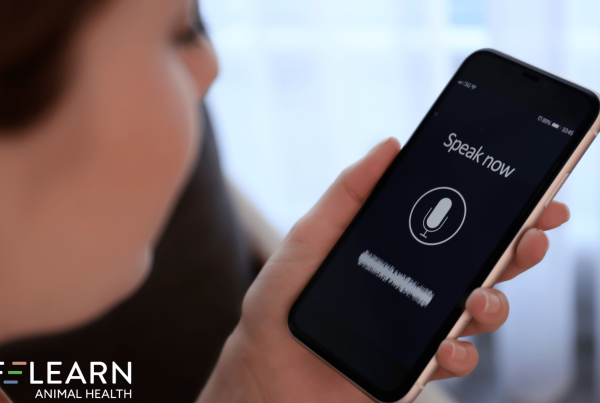 voice search seo