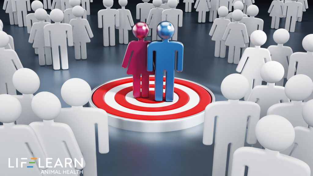 10 Facebook Ad Testing Ideas